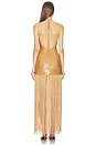 view 3 of 4 Ankira Maxi Dress in Bronze
