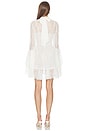 view 3 of 3 Norma Mini Dress in Ivory