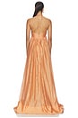 view 3 of 3 Anastacia Maxi Dress in Orange