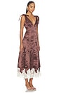 view 2 of 3 Anahi Maxi Dress in Chocolate & Ivory