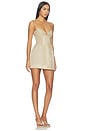 view 2 of 4 ROBE DELFINA in Beige