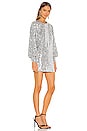 view 2 of 4 Jezabel Mini Dress in Silver