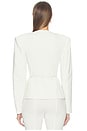 view 4 of 4 Jaxe Jacket in Ivory