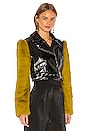 view 2 of 4 Florencia Moto Jacket in Black & Olive