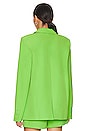 view 3 of 4 Morena Blazer in Neon Green