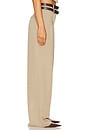 view 3 of 6 Jila Pant in Sage