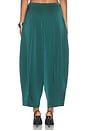 view 5 of 6 PANTALÓN SOLARA in Teal