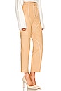 view 2 of 4 Yuri Leather Pants in Tan