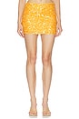 view 1 of 6 FALDA SOLENA in Maize
