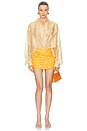 view 5 of 6 FALDA SOLENA in Maize