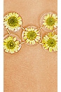 view 5 of 5 Lilah Crop Top in Yellow Daisy