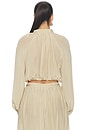 view 3 of 4 Nerea Top in Tan