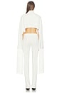 view 4 of 4 Jaxe Top in Ivory