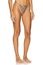 view 2 of 4 Bruna Bottom in Brown Animal