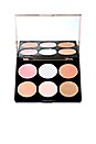 view 2 of 4 Perfect Highlighting Palette in 