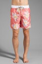 view 1 of 7 Bermuda Floral Boardshort in Cantaloupe