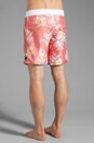 view 4 of 7 Bermuda Floral Boardshort in Cantaloupe