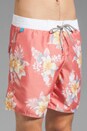 view 5 of 7 Bermuda Floral Boardshort in Cantaloupe