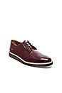 view 2 of 5 Derby Shine in Oxblood