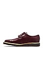 view 5 of 5 Derby Shine in Oxblood