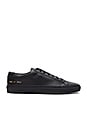 view 1 of 6 SNEAKERS PERFORÉS ACHILLES in Black Perforated