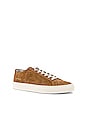 view 2 of 6 Achilles Low Suede Sneaker in Tobacco