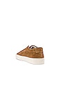 view 3 of 6 Achilles Low Suede Sneaker in Tobacco