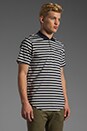 view 2 of 5 CS Tyler Polo in Navy Stripe