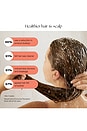 view 6 of 7 Handheld Filtered Showerhead in Matte Black