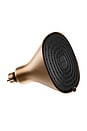 view 1 of 5 Filtered Showerhead in Brass