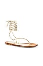 view 2 of 5 Lola Lace Up Sandal in Gold