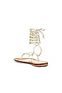 view 3 of 5 Lola Lace Up Sandal in Gold