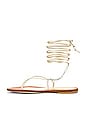 view 5 of 5 Lola Lace Up Sandal in Gold