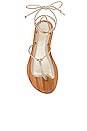 view 4 of 5 Teodoro Sandal in Gold