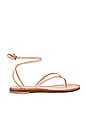 view 1 of 5 Ambra Sandal in Natural