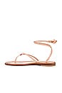 view 5 of 5 Ambra Sandal in Natural