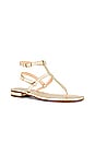 view 2 of 5 Tiriolo Sandal in Gold
