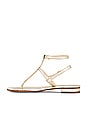 view 5 of 5 Tiriolo Sandal in Gold