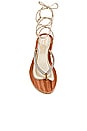 view 4 of 5 Monopoli Sandal in Gold & Clear