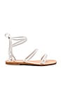 view 1 of 5 Caruso Sandal in White