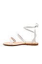 view 5 of 5 Caruso Sandal in White