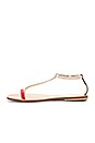 view 5 of 5 PANAREA 샌들 in Red, Nude & Black