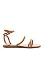 view 1 of 5 Caruso Sandal in Sand Suede