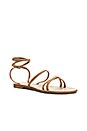 view 2 of 5 Caruso Sandal in Sand Suede