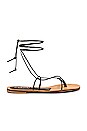 view 1 of 5 Ermi Lace Up Sandal in Black Python