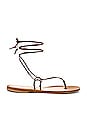 view 1 of 5 Lola Lace Up Sandal in Cedar