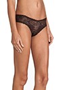 view 2 of 3 Trente LR Thong in Cioccolato