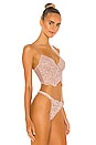 view 3 of 5 SOUTIEN-GORGE MAGNOLIA in Mandorla
