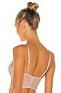 view 4 of 5 SOUTIEN-GORGE MAGNOLIA in Mandorla