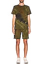 view 4 of 4 Presley Tee in Moss Haze